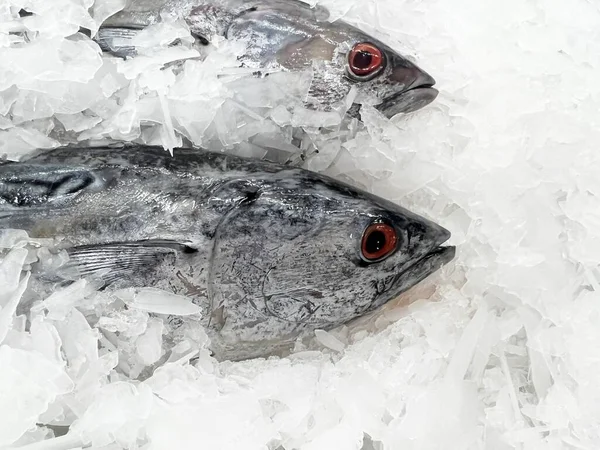Frischer Fisch Aus Nächster Nähe Auf Eis — Stockfoto