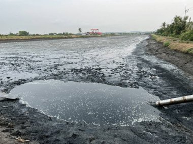 Balık havuzunun çamurlu tarafını kapatın.