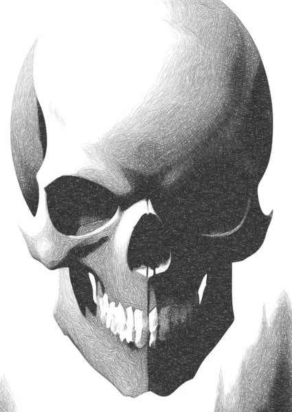 Skull Black White Texture — 스톡 사진