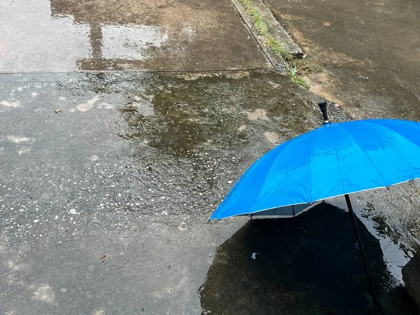 Regenwetter Regen Regenschirme Regenschirm — Stockfoto