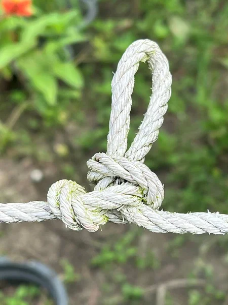 Крупним Планом Мотузка Зеленому Фоні — стокове фото