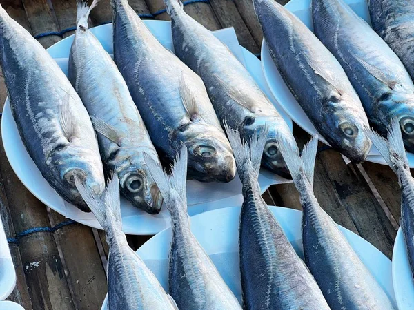 Pesce Fresco Dello Sgombro Sul Mercato — Foto Stock