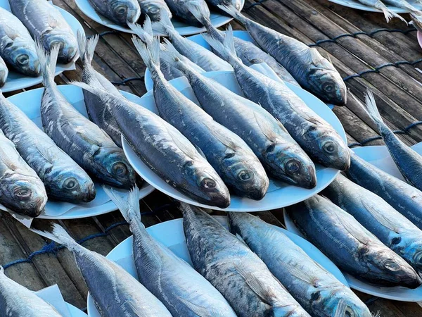 Verse Makreel Vissen Markt — Stockfoto
