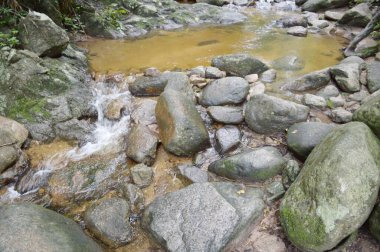 Chonburi Tayland 'daki ormanda güzel bir şelale.