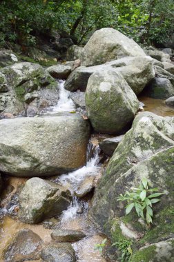Chonburi Tayland 'daki ormanda güzel bir şelale.