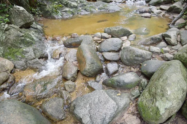 Chonburi Tayland 'daki ormanda güzel bir şelale.