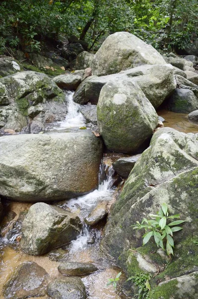 Chonburi Tayland 'daki ormanda güzel bir şelale.