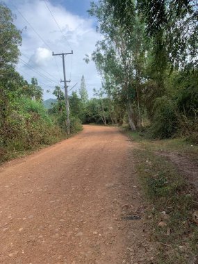 Chachoengsao Tayland 'daki ormanda yol.