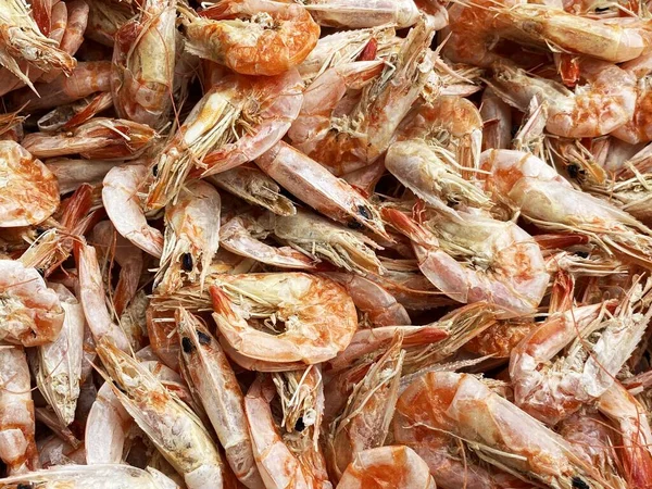 Fresh Shrimp White Background — Stock Photo, Image