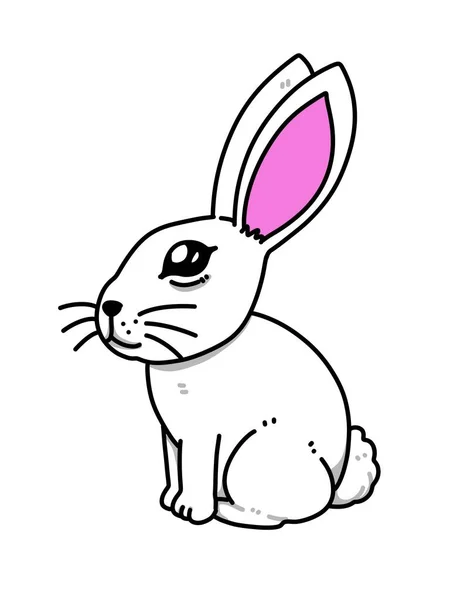 Carino Cartone Animato Coniglio Sfondo Bianco — Foto Stock