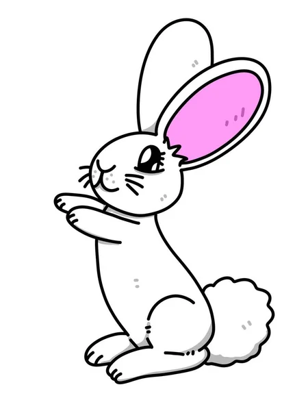 白色背景的可爱兔子卡通片 — 图库照片