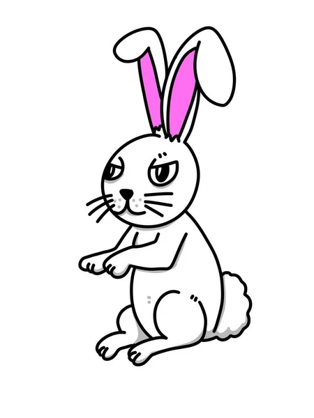 Niedliche Kaninchen Karikatur Auf Weißem Hintergrund — Stockfoto