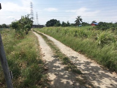 Chachoengsao Tayland 'daki ormanda yol.