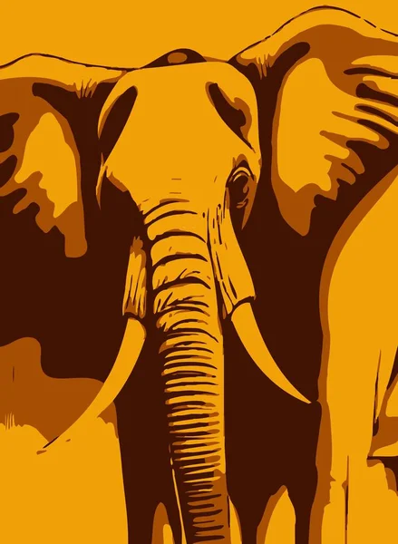 Art Color Elephant Cartoon — Stock Fotó