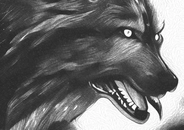 黒と白の闇の狼 — ストック写真