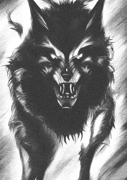 Black White Dark Wolf — Fotografia de Stock