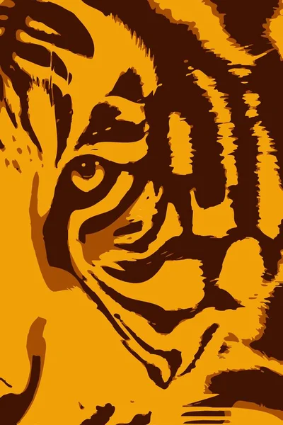 Art Color Tiger Face Cartoon — Foto de Stock