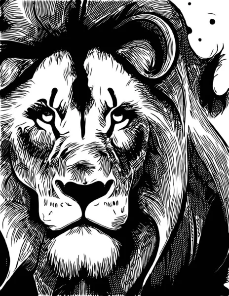 ライオンの黒と白の漫画 — ストック写真