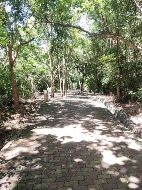 Chonburi Tayland 'daki parkın güzel manzarası.