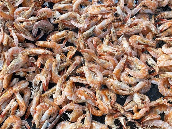 Close Dried Shrimp Cooking —  Fotos de Stock
