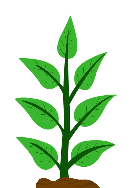 Green Plant Leaves Tree Illustration — Fotografia de Stock