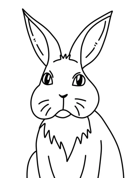 Blanco Negro Dibujos Animados Lindo Conejo Para Colorear — Foto de Stock