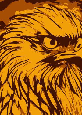 art color of bird cartoon