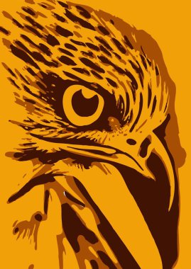 art color of bird cartoon