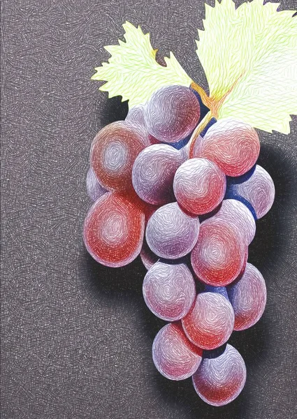 Art Color Red White Grapes — Foto de Stock