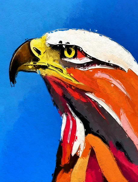 Art Color Beautiful Eagle — Zdjęcie stockowe