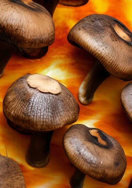Close Mushroom Grilled Stove — Stock fotografie