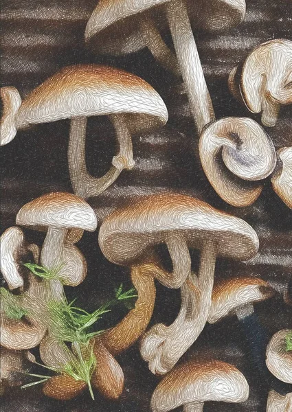 art color of mushrooms grilled