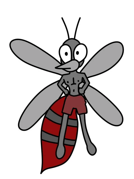 Cute Mosquito Cartoon White Background — 图库照片