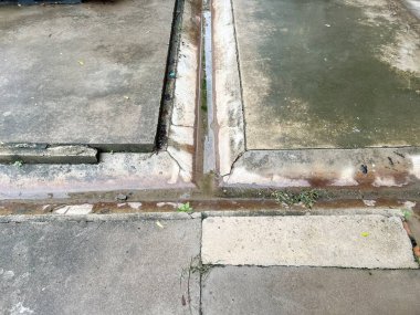 cement floor in nature garden