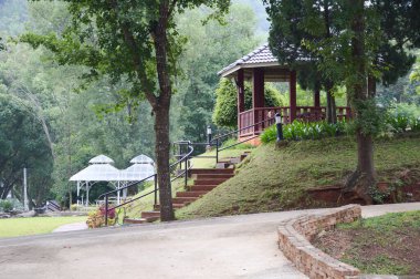 Tayland, Chiang Mai 'deki güzel bir park manzarası.