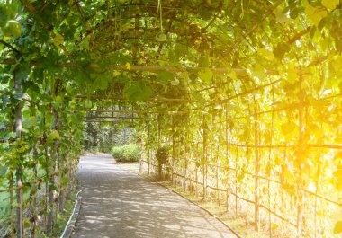 Parkın güzel manzarası