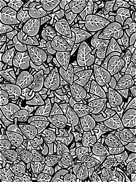 Black White Leaf Pattern — Stock Photo, Image