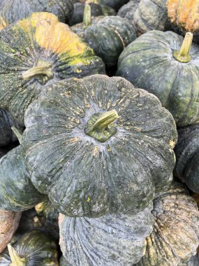 Piyasada taze balkabağı