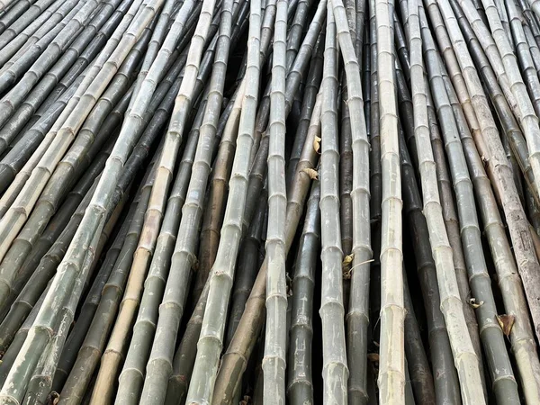 Close Bamboo Fence Background Texture — Foto de Stock