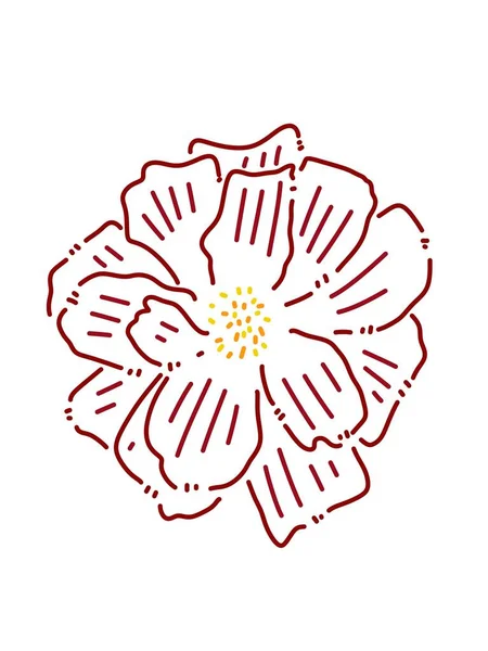 Line Art Rose Flower — Fotografia de Stock