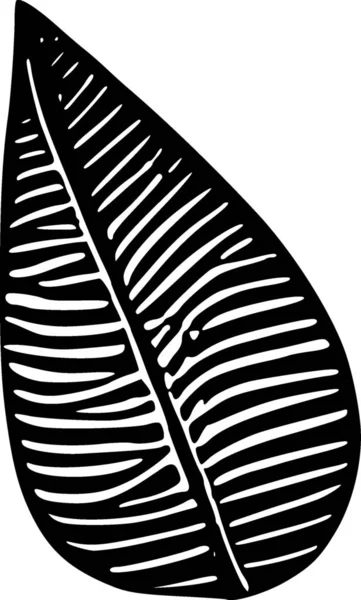 Bir Ağacın Arka Planının Siyah Beyaz Çizimi — Stok fotoğraf