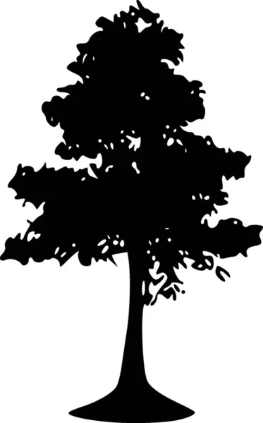 Baumsilhouette Isoliert Auf Weißem Hintergrund — Stockfoto