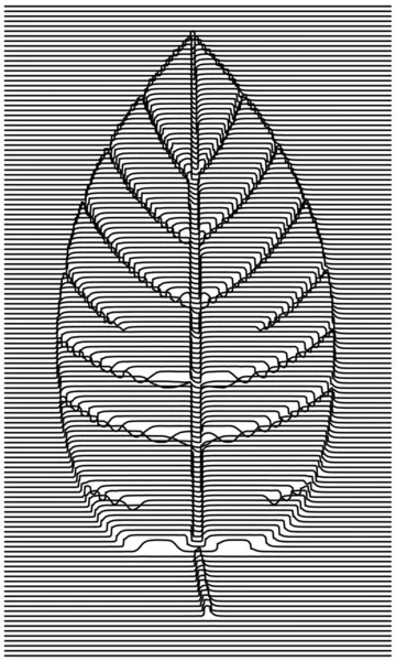 Leaf Icon Black White Illustration — Foto Stock