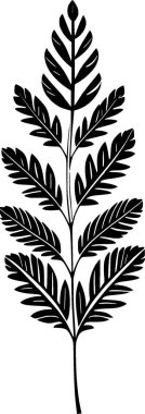 illustration of a plant leaf