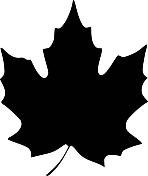 Maple Leaf Icon Black White Illustration — Foto de Stock