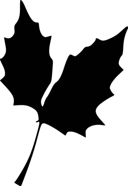 Zwart Wit Illustratie Van Herfstbladeren — Stockfoto