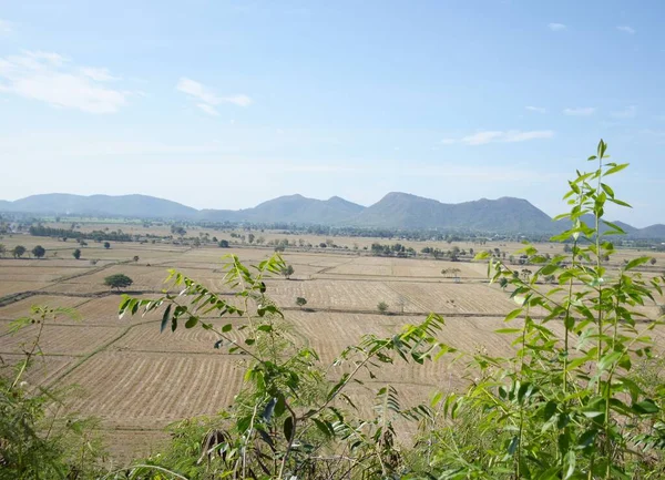 beautiful landscape with a field of tea and a mountain at Kanchanaburi Thailand