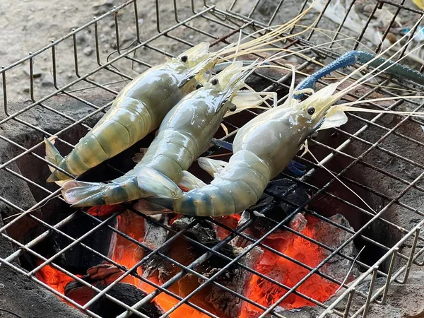 Grilled Shrimp Charcoal Grill —  Fotos de Stock
