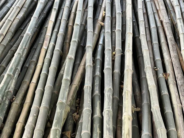 Close Bamboo Fence Background Texture — ストック写真