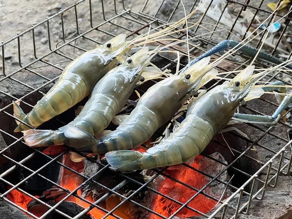 Grilled Shrimp Grill Stove —  Fotos de Stock